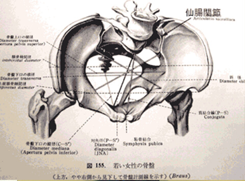 関節療法②　IDストレッチ療法